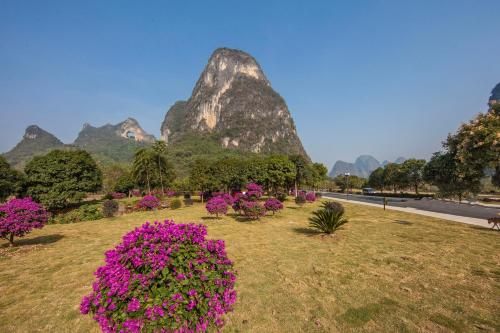 a field of flowers with a mountain in the background at Yangshuo Village Inn Boutique Hotel in Yangshuo