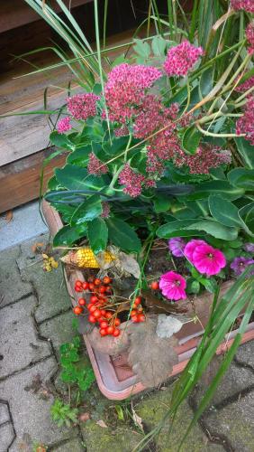 a planter filled with flowers and plants on a patio at Haus Toni in Bad Füssing