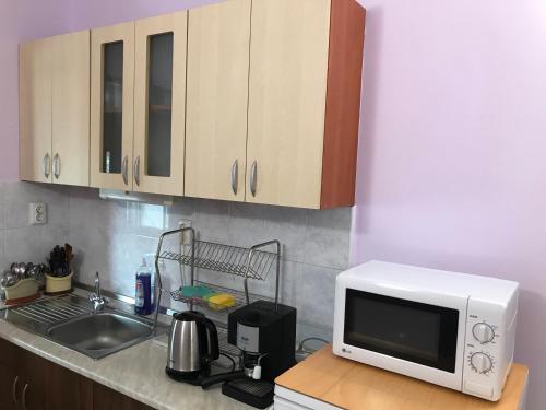 Η κουζίνα ή μικρή κουζίνα στο Guesthouse Elena