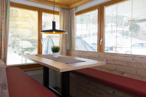 a table in front of a window with a potted plant at Aparthotel Tyrol in Lermoos