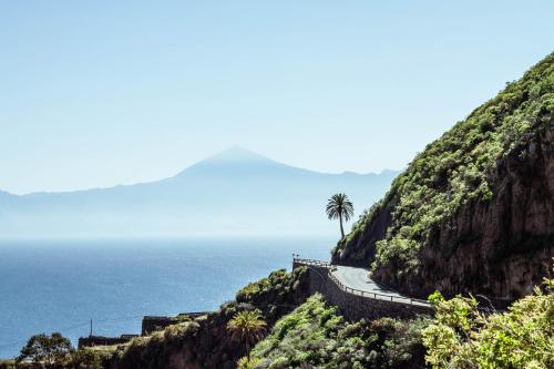 a road on the side of a mountain with a palm tree at Calma Suite in Agulo