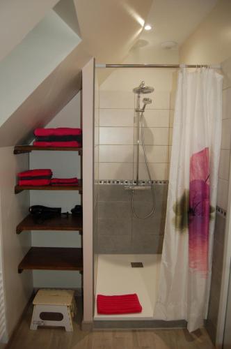a bathroom with a shower with a shower curtain at une Pause à la Campagne in Mervans