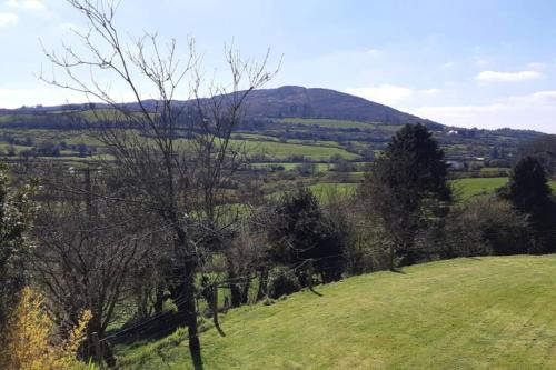 a green field with a tree on a hill at Tir na nOg - A Piece of Heaven in Bantry