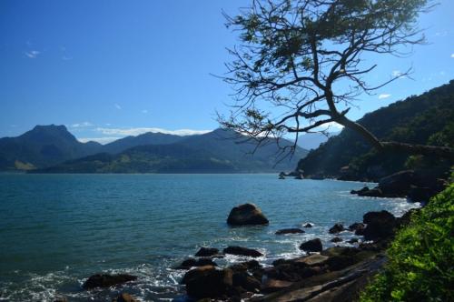 a view of a body of water with a tree at Pousada Alto de Junqueira in Mangaratiba