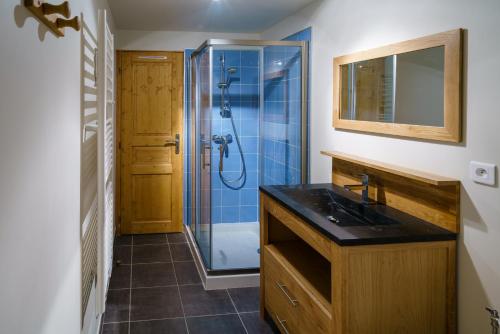een badkamer met een douche, een wastafel en een spiegel bij Le Diable Bleu in Lamoura