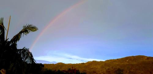 a rainbow in the sky with a palm tree at Aconchego em Floripa in Florianópolis