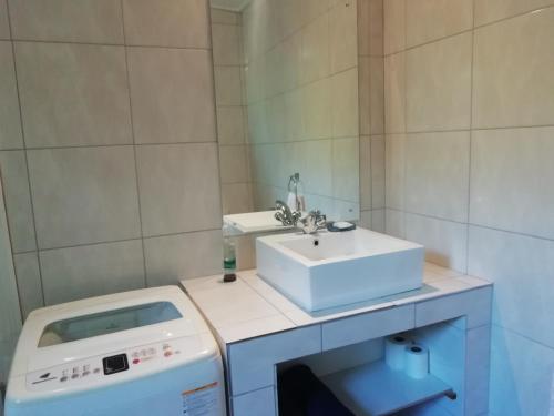 een badkamer met een wastafel en een wasmachine bij Swiss Cottage Guest House in Kaapstad