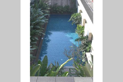 Kolam renang di atau dekat dengan Exotic Chamber