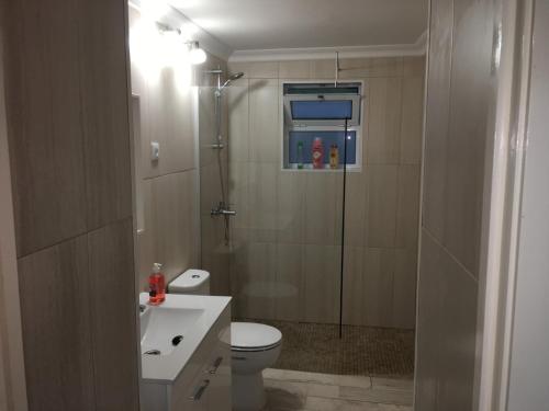 a bathroom with a shower and a toilet and a sink at GRANARY'S HOUSE in Sete Cidades