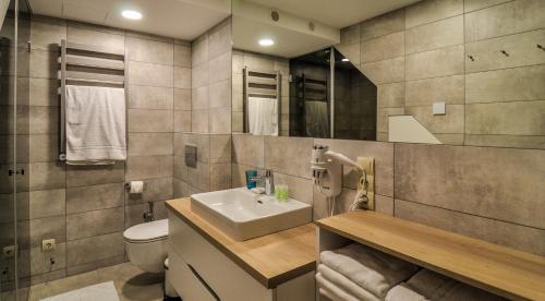 a bathroom with a sink and a toilet at Nidos Namai in Nida