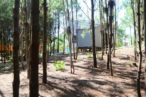 Landskap semula jadi dekat dengan lodge