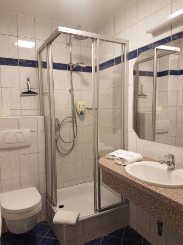 a bathroom with a shower and a toilet and a sink at Landhotel Haagerhof in Aigen im Mühlkreis