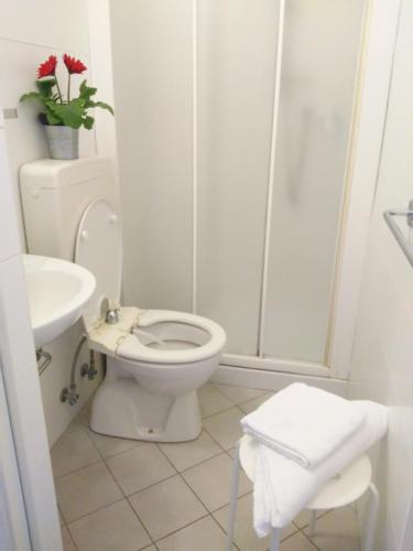 La salle de bains blanche est pourvue d'une douche et de toilettes. dans l'établissement Fasthotel, à Cervia