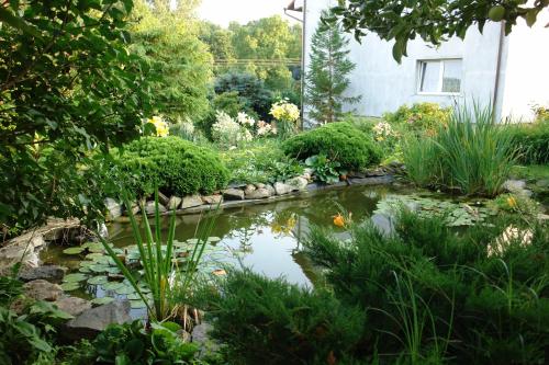 a pond in the middle of a garden at Agroturystyka Gawryś apartament in Sasino