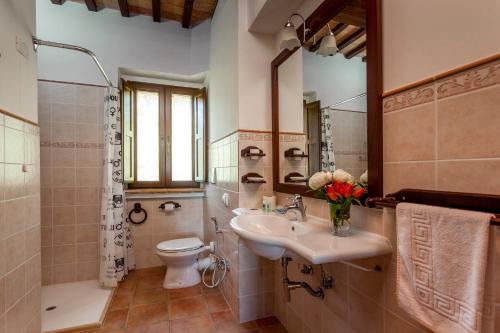 a bathroom with a sink and a toilet and a mirror at Agriturismo Tre Querce in Penna San Giovanni