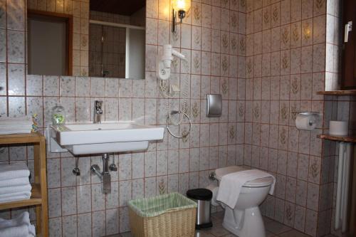 a bathroom with a sink and a toilet at Ferienhaus Charlotte in Neunkirchen