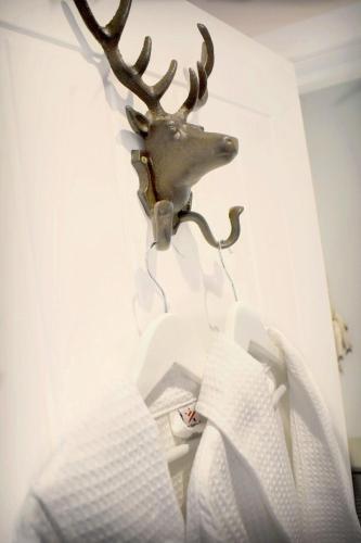 a reindeer head hanging on a wall at The Auld Reekie in Barbaraville