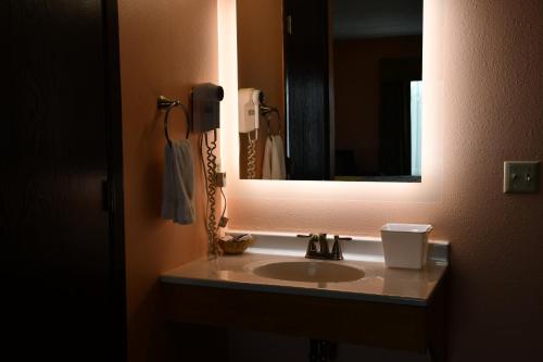 uma casa de banho com um lavatório e um espelho em Regency Inn & Suites Faribault em Faribault
