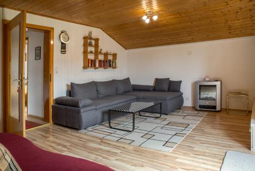 a living room with a couch and a tv at Ferienwohnung Dressler in Pfronten