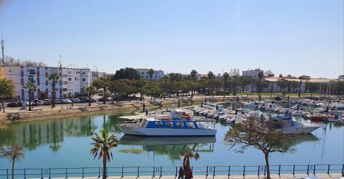 a group of boats are docked in a harbor at El Balcón del Puerto in Ayamonte