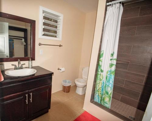 un bagno con lavandino e tenda da doccia di Casita Océana a Sandy Bay