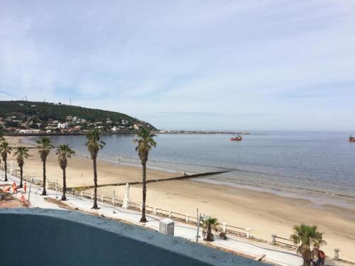 a view of a beach with palm trees and the ocean at Hotel Escorial in Piriápolis