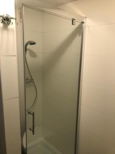 y baño con ducha y puerta de cristal. en Lodge, en Noordwijk