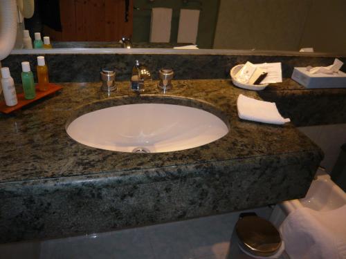 a bathroom counter with a sink in a hotel room at Aux Ducs de Savoie in Combloux