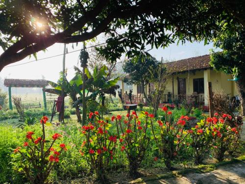 Un jardín fuera de Bardia Eco Friendly Homestay