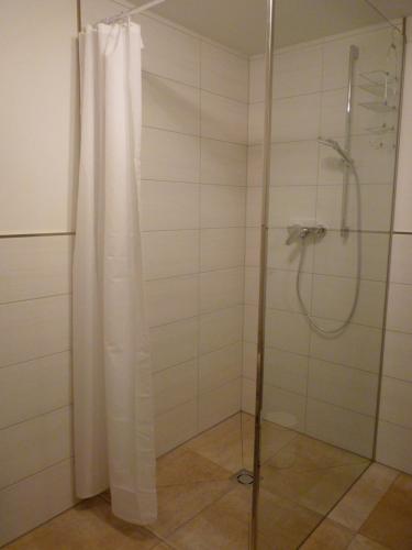 a bathroom with a shower with a shower curtain at Reiterhof Truttenbach in Embach