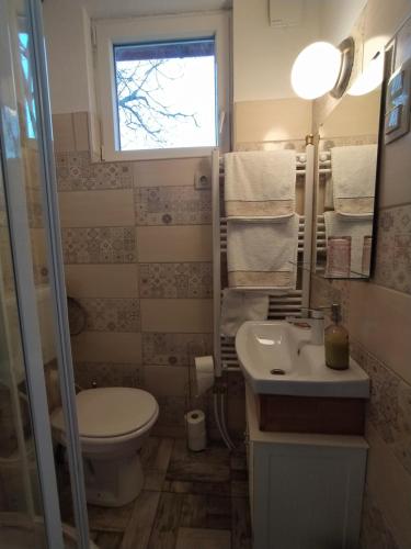 a bathroom with a toilet and a sink and a window at Mendei Vendégház - Deluxe Apartman in Mende