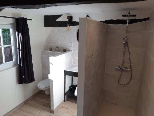 a bathroom with a shower with a toilet and a sink at Le Béguinage in Cour-Cheverny