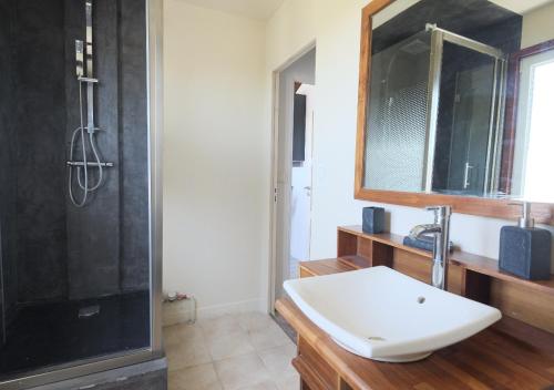 une salle de bain avec un lavabo, une douche et un miroir dans l'établissement Sea Wind and Sun, à Wimereux