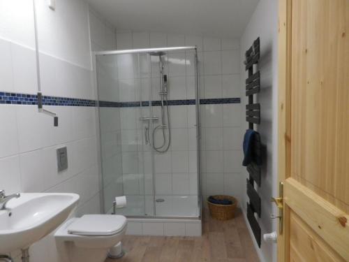 ein Bad mit einer Dusche, einem WC und einem Waschbecken in der Unterkunft Alte Malztenne im Herzen der Schorfheide in Golzow