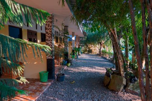 a street with trees on the side of a building at Brown Bamboo Guest house & jungle trekking orang-utan in Bukit Lawang
