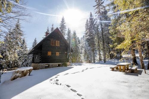 uma cabana de madeira numa floresta coberta de neve com árvores em Cosy Lodge Pokljuka em Goreljek