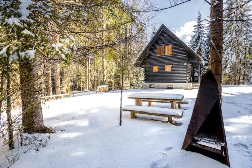 a picnic table in the snow in front of a cabin at Cosy Lodge Pokljuka in Goreljek