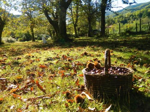 Κήπος έξω από το Agriturismo Casa Turchetti
