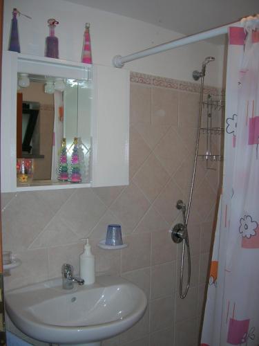 a bathroom with a sink and a shower at Casa Vacanza La Papuzza Mare e Etna in Mascali