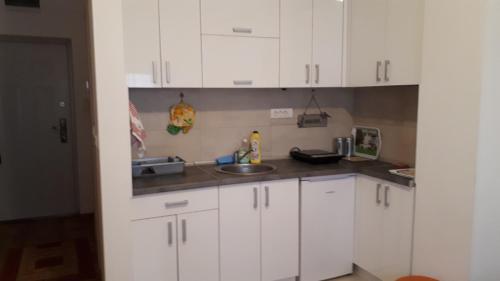 Billede fra billedgalleriet på Apartman Ana i Aranđelovac