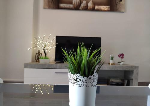 eine weiße Vase mit einer Pflanze im Wohnzimmer in der Unterkunft Eldorado Apartment La Mata in La Mata