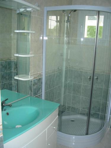 La salle de bains est pourvue d'une douche et d'un lavabo bleu. dans l'établissement CHAMBRES D'HÔTES chez réjane, à Crasville