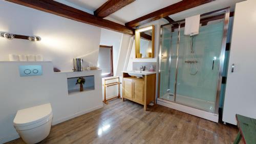 La salle de bains est pourvue d'une douche, de toilettes et d'un lavabo. dans l'établissement Le Clos bartholdi, à Colmar