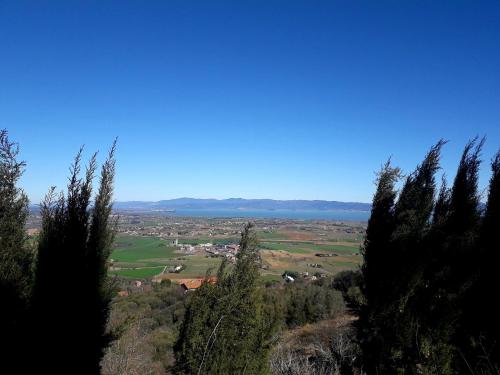 a view from the top of a hill with trees at Il vecchio frantoio in Panicale