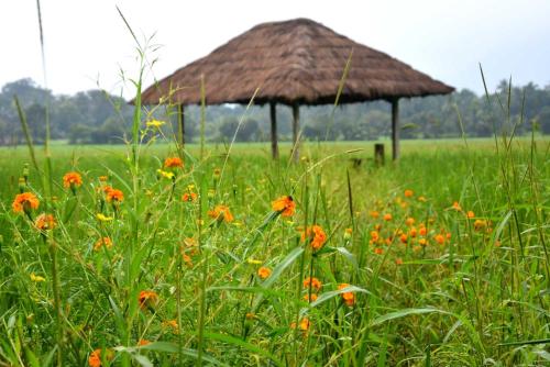 Gallery image of Green Heritage Holiday Resort in Mahiyangana