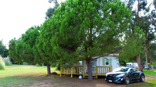 Camping Miami plage – Photos 5