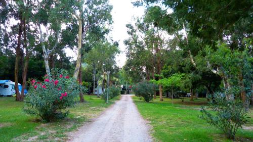 Camping Miami plage – Photos 4