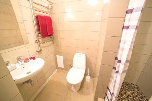 a small bathroom with a toilet and a sink at Apartment on Lychakivska in Lviv