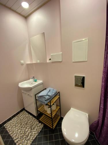 a bathroom with a toilet and a sink at Kastanimaja Apartments in Tartu