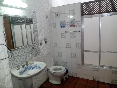 een badkamer met een toilet, een wastafel en een douche bij Hostel Terra das Tribos in Ubatuba